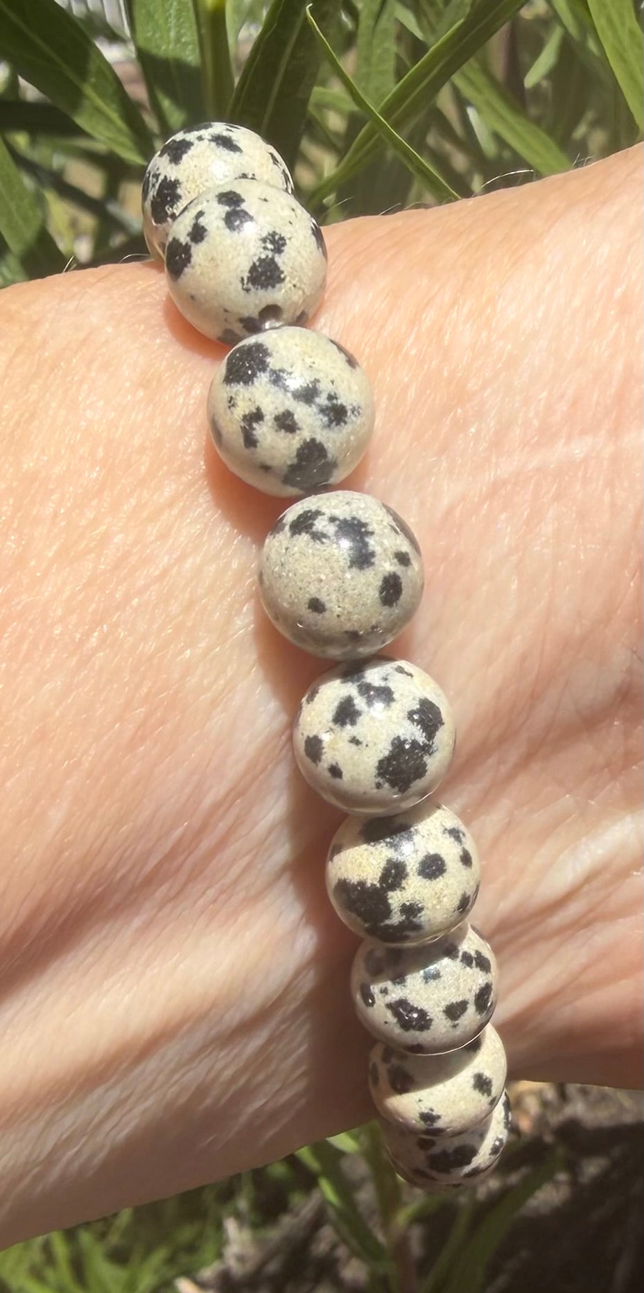 Spotted & Unbothered| 8mm Dalmatian Jasper Bracelet